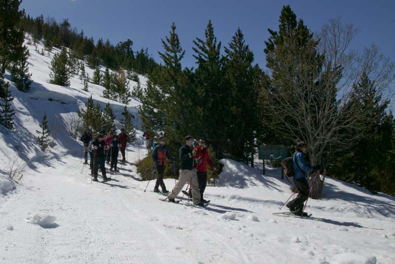 Durante el paseo con raquetas de nieve